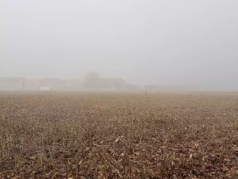 Terrain à bâtir, 766 m² - Avrainville (91630)