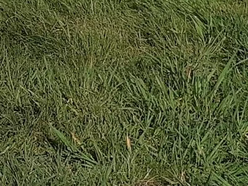 Terrain à bâtir, 439 m² - Pornic (44210)