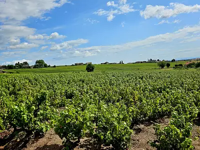 Terrain à bâtir, 675 m²