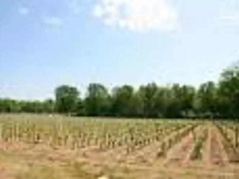 Terrain à bâtir, 515 m² - Cérons (33720)