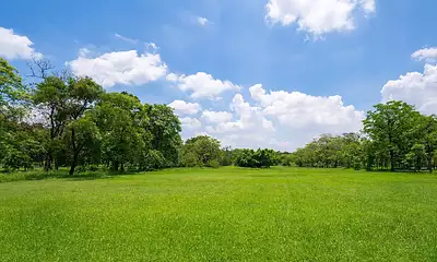 Maison neuve, 85 m²