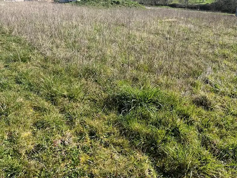 Terrain à bâtir, 599 m² - Jaunay-Marigny (86130)