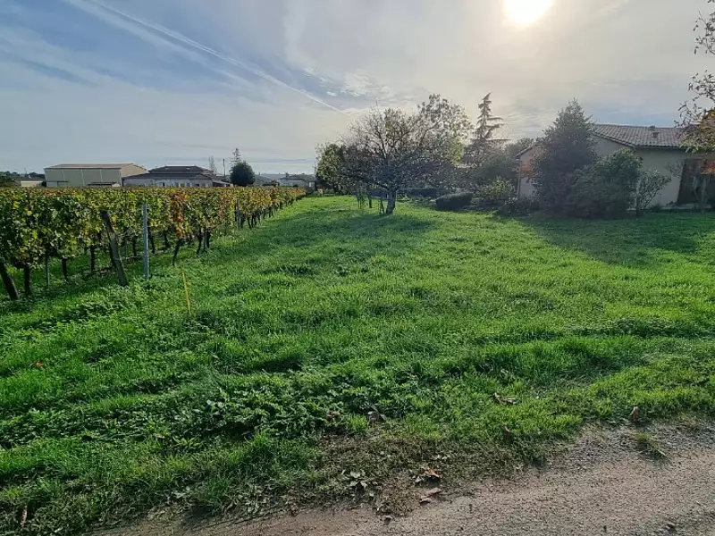 Terrain à bâtir, 877 m² - Saint-Magne-de-Castillon (33350)