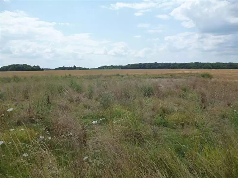 Terrain à bâtir, 858 m² - Quiers-sur-Bézonde (45270)