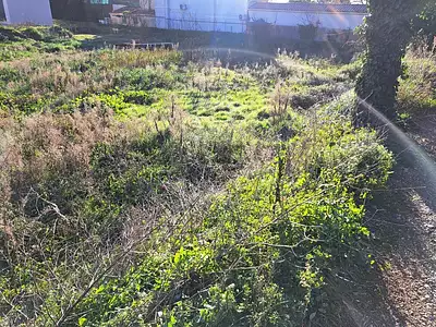 Terrain à bâtir, 450 m²