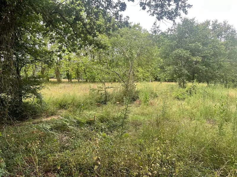 Maison neuve, 64 m² - Maransin (33230)