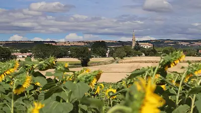 Terrain à bâtir, 840 m²