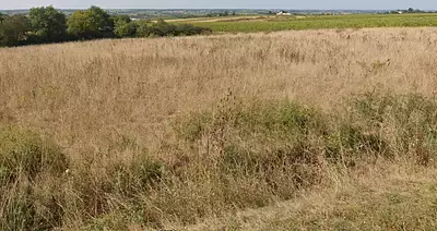 Terrain à bâtir, 648 m²