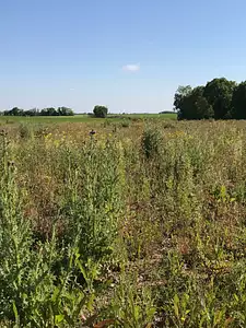 Terrain à bâtir, 448 m²