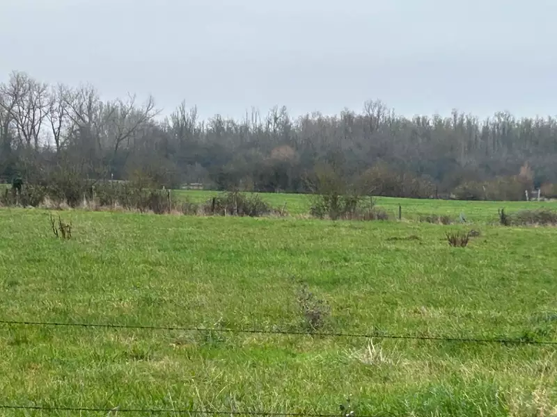 Terrain à bâtir, 1 500 m² - Béthune (62400)