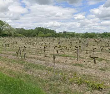 Terrain à bâtir, 850 m²