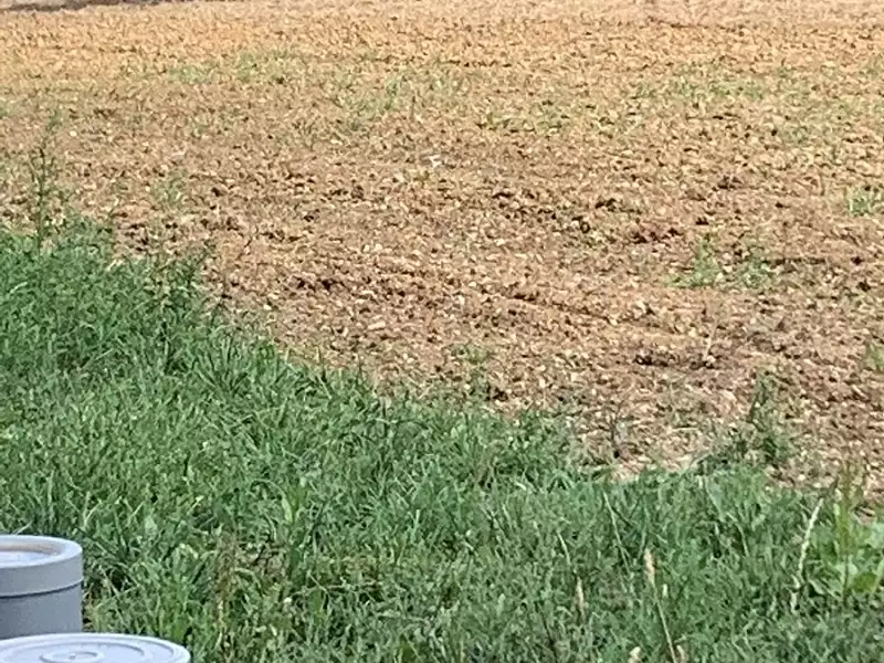 Terrain à bâtir, 548 m² - Saint-Père-en-Retz (44320)