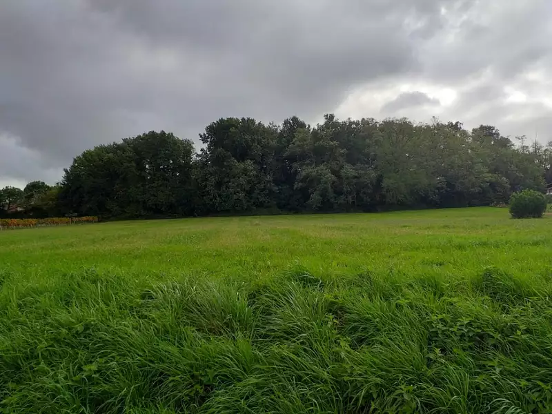 Terrain à bâtir, 750 m² - Baigneaux (33760)