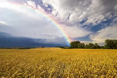 Terrain à bâtir, 1 576 m²