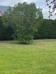 Maison neuve, 99 m²