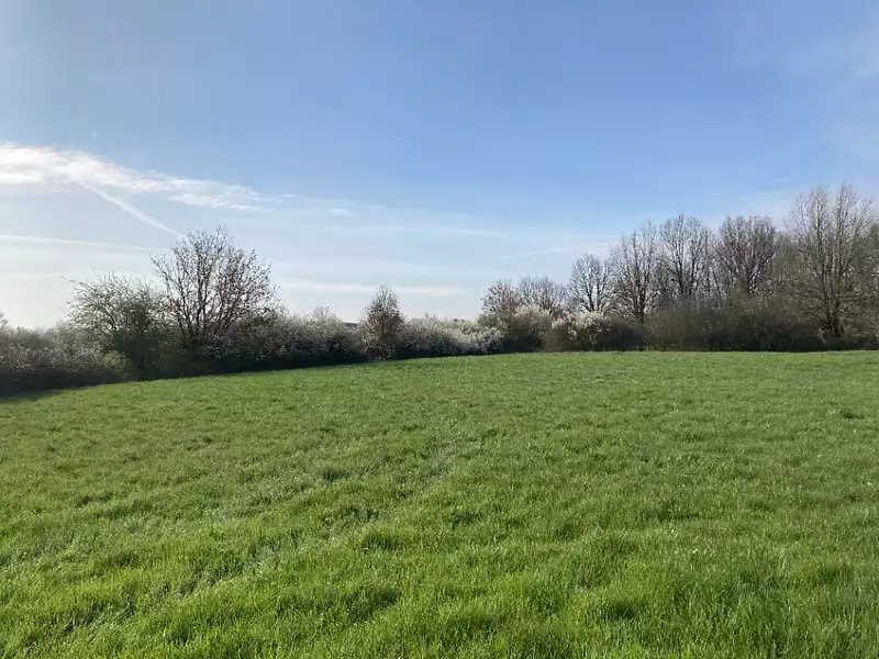 Maison neuve, 98 m² - Buzet-sur-Tarn (31660)