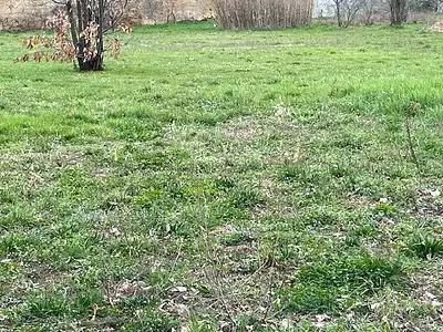 Terrain à bâtir, 700 m²