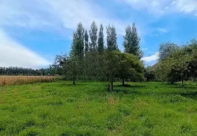 Maison neuve, 95 m²