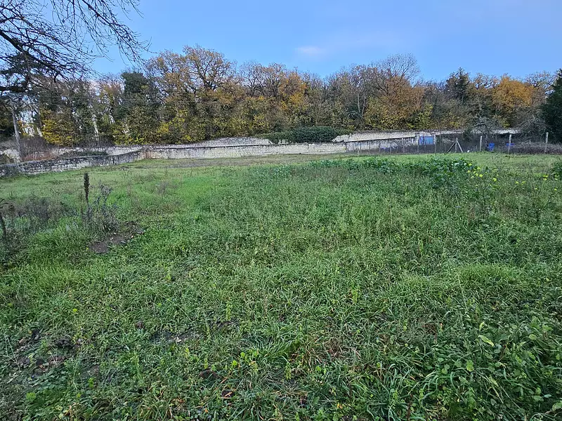 Terrain à bâtir, 1 475 m² - Bellevigne-les-Châteaux (49260)