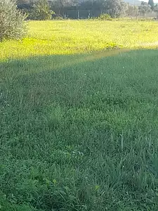 Terrain à bâtir, 600 m²