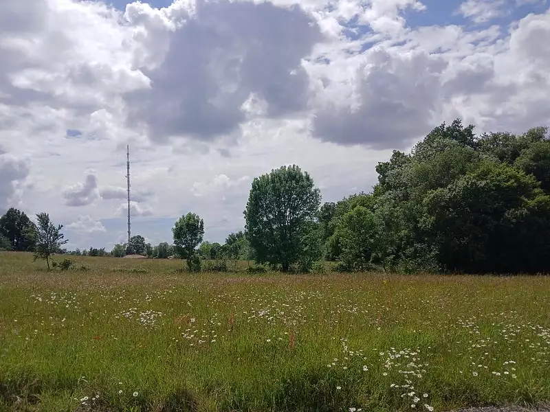 Terrain à bâtir, 1 011 m² - Bouliac (33270)