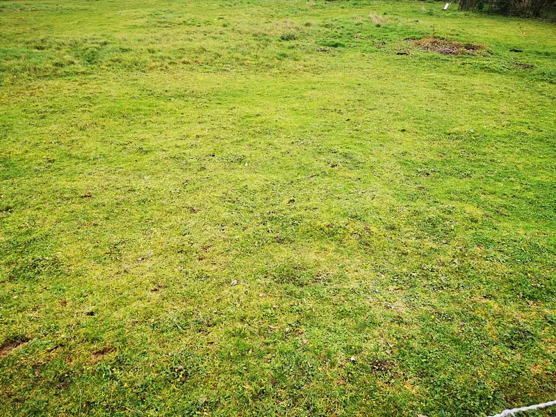 Terrain à bâtir, 433 m² - Ferrière-sur-Beaulieu (37600)