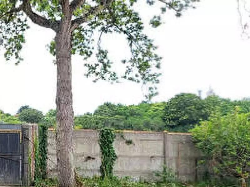 Maison neuve, 107 m² - Pornic (44210)