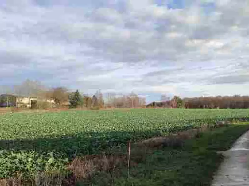 Terrain à bâtir, 700 m² - Savigny-Lévescault (86800)