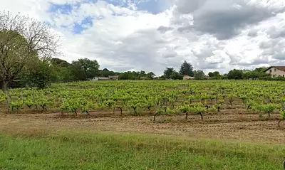 Maison neuve, 90 m²