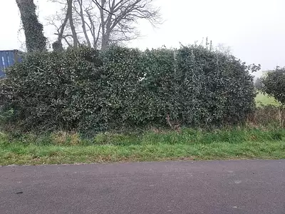 Terrain à bâtir, 500 m²