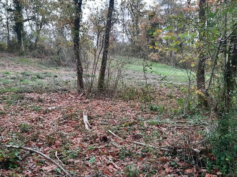 Maison neuve, 80 m² - Eyraud-Crempse-Maurens (24130)