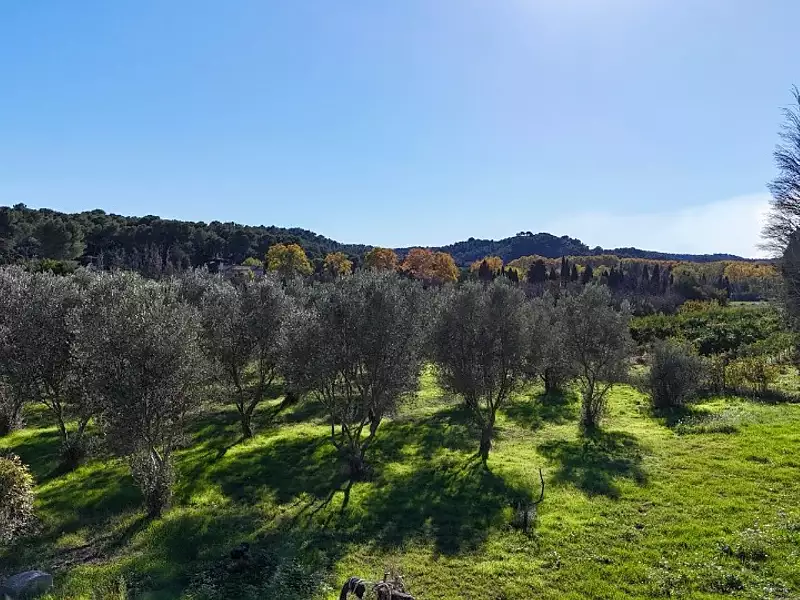 Terrain à bâtir, 1 500 m² - Mas-Blanc-des-Alpilles (13103)
