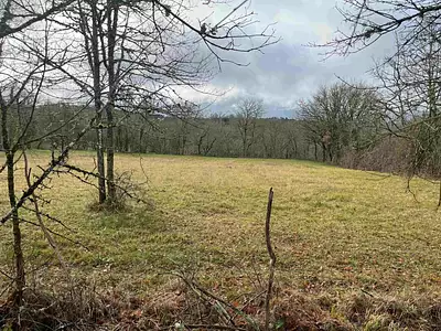 Terrain à bâtir, 3 100 m²