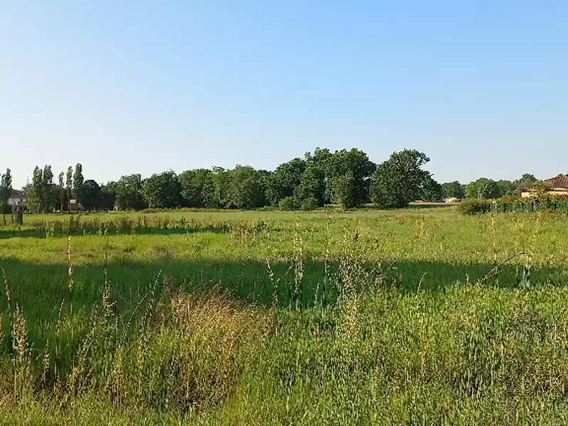 Terrain à bâtir, 1 500 m² - Montpon-Ménestérol (24700)