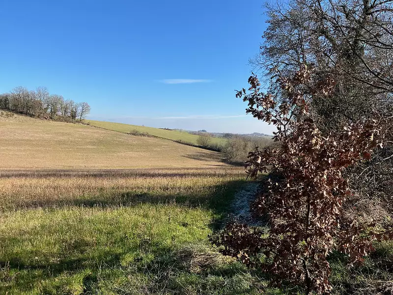 Terrain à bâtir, 1 294 m² - Mailhoc (81130)