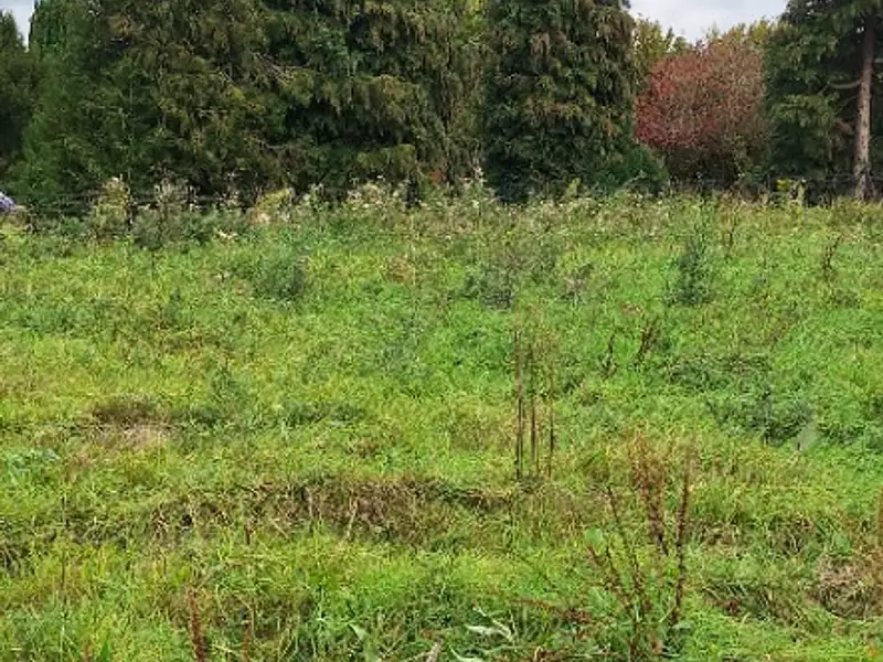 Terrain à bâtir, 701 m² - Saint-Jean-du-Cardonnay (76150)