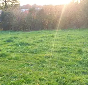 Terrain à bâtir, 875 m²