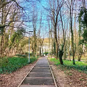 L'îlot des Lumières