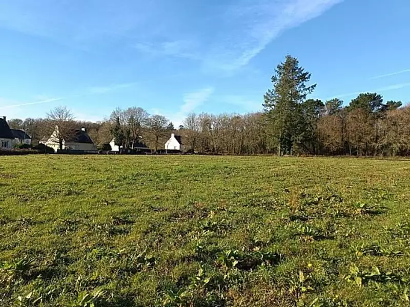 Maison neuve, 90 m² - Monterblanc (56250)