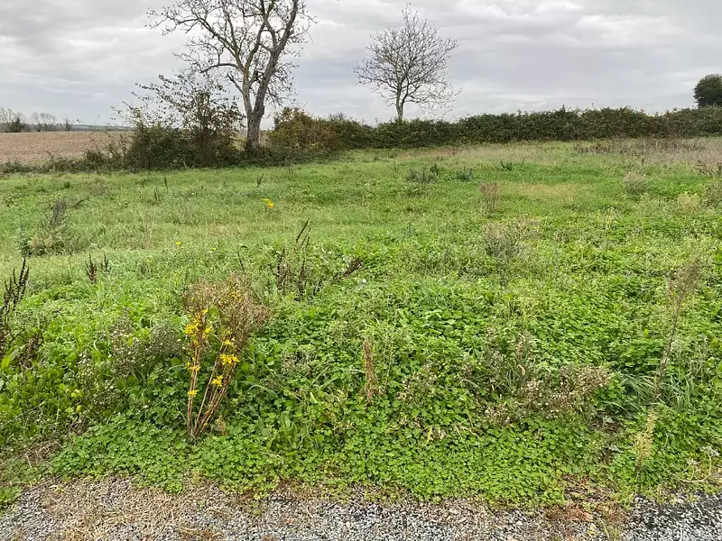 Maison neuve, 65 m² - Ballon (17290)