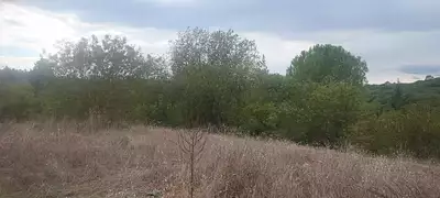 Terrain à bâtir, 1 740 m²