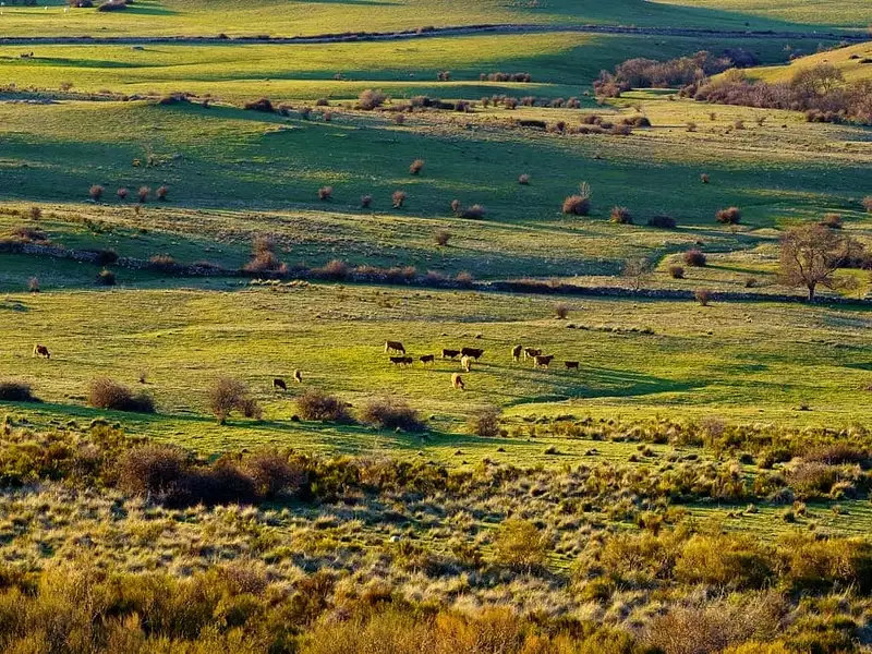 Terrain à bâtir, 540 m² - La Roche-sur-Yon (85000)