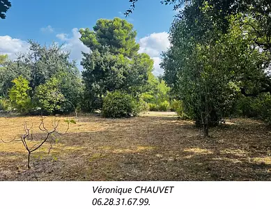 Terrain à bâtir, 660 m²