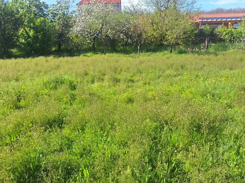 Terrain à bâtir, 420 m² - Colomiers (31770)