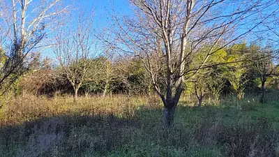 Maison neuve, 60 m²