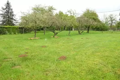 Maison neuve, 120 m²