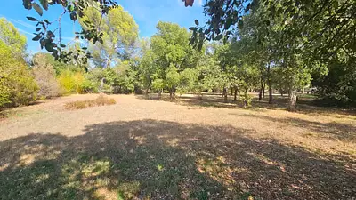 Terrain à bâtir, 1 007 m²