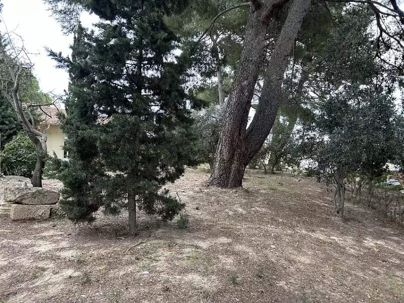 Terrain à bâtir, 459 m² - Bouzigues (34140)