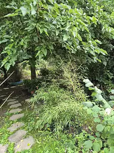 Terrain à bâtir, 950 m²