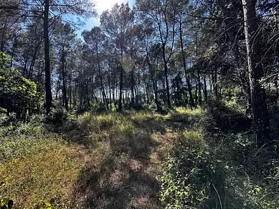 Terrain à bâtir, 1 200 m²